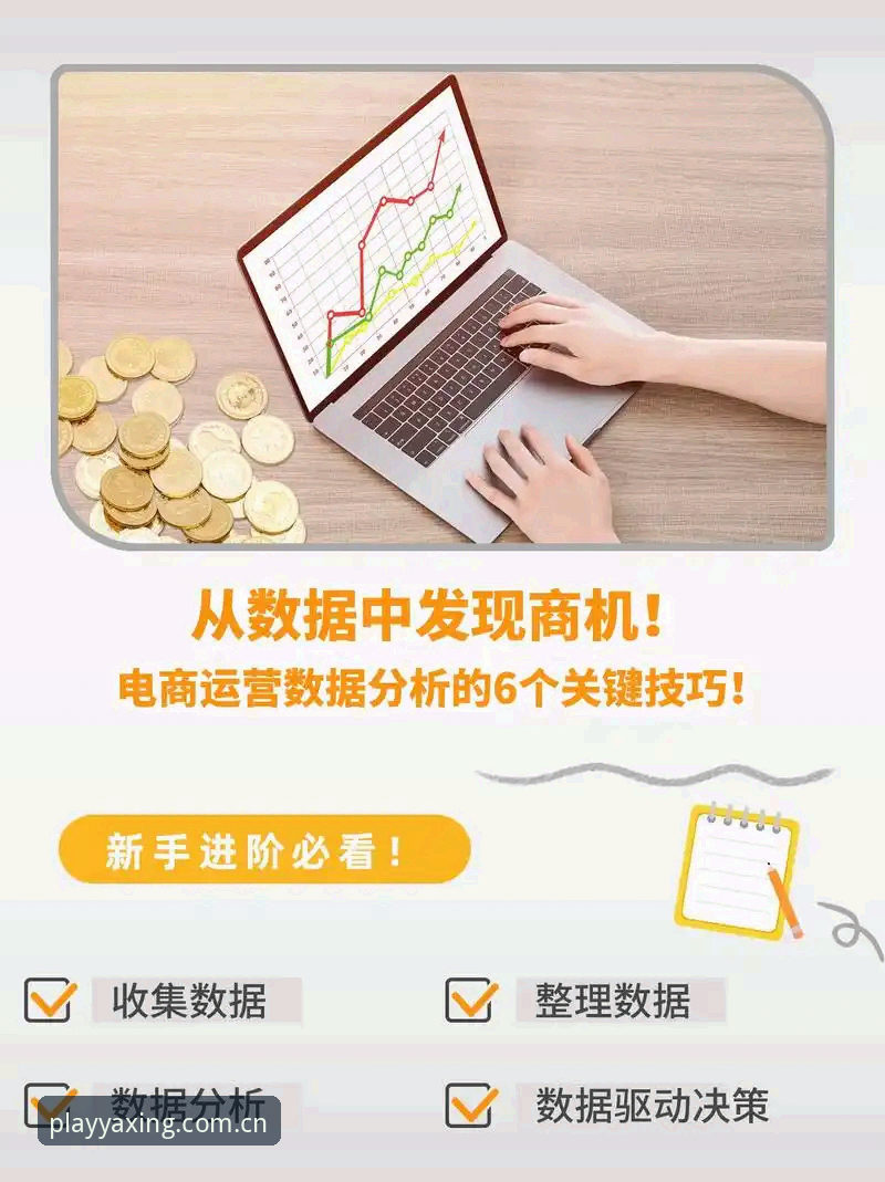 亚星游戏赛事数据背后：从查询方式到实时分析的全流程深度解读